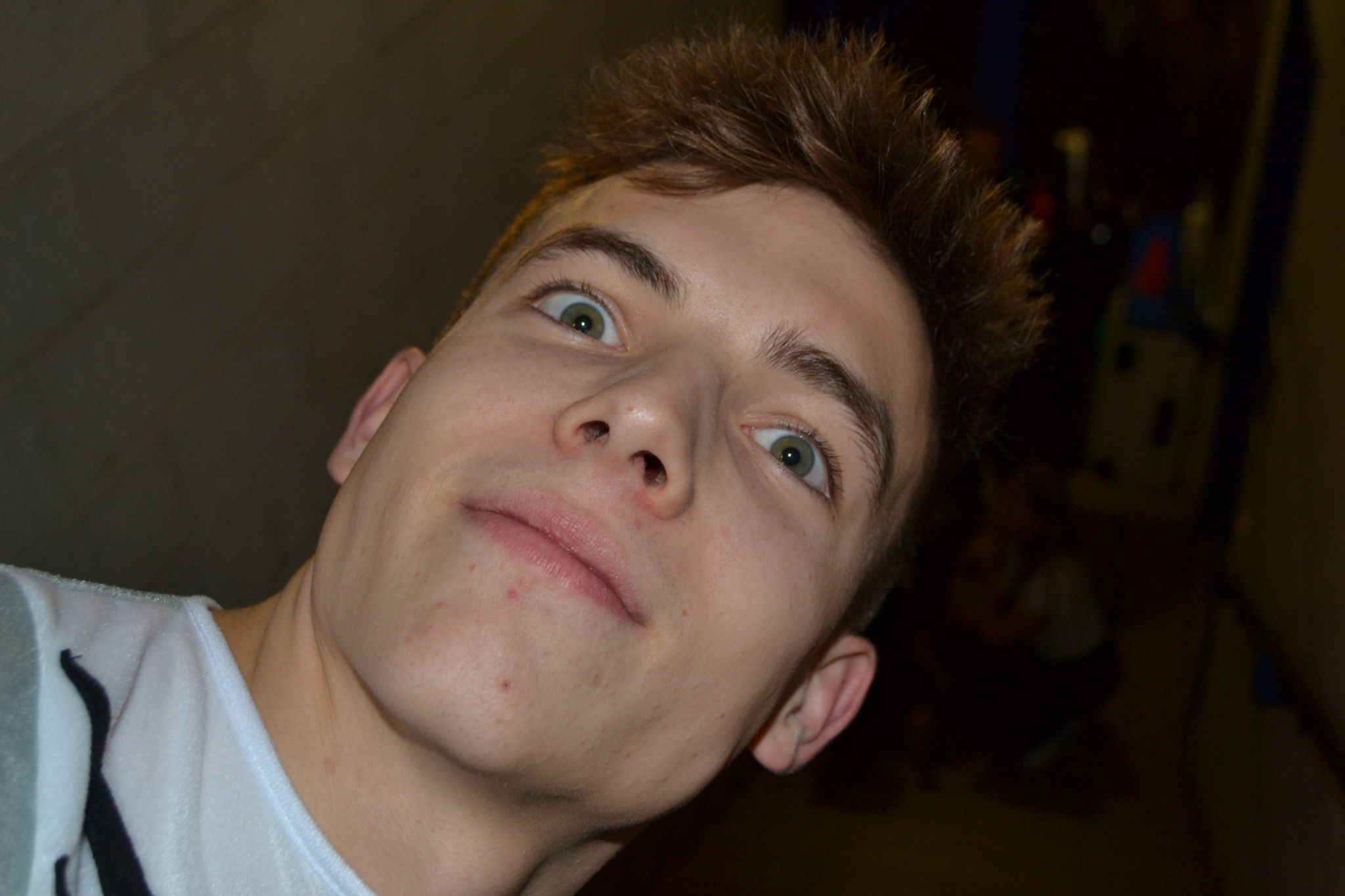 Bild2 (8)